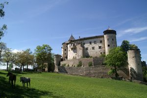 Burgen Südtirols
